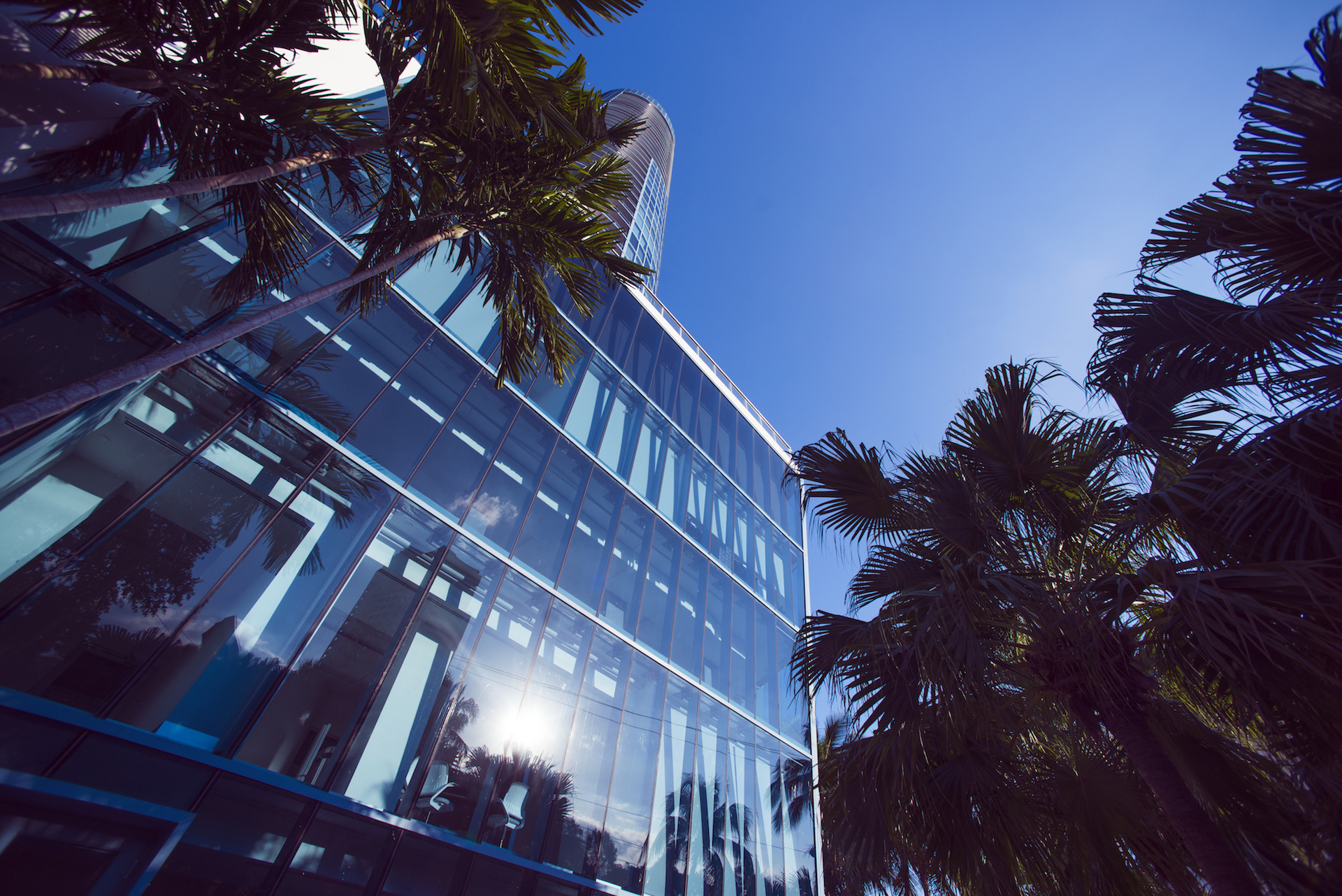Axis Space building exterior, glass facade and palms