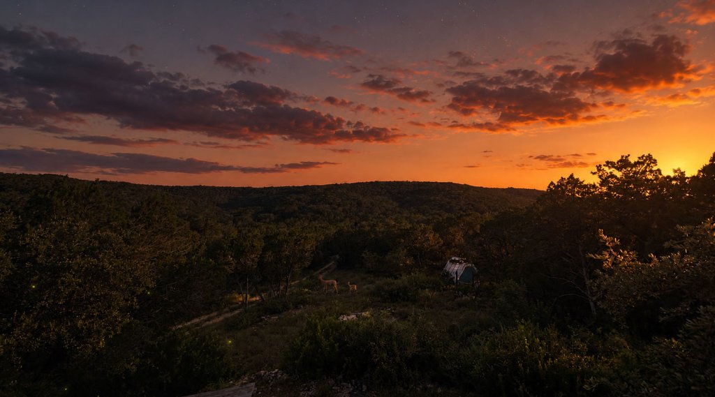 Milky Way stretching across the Texas Hill Country night sky above dark oak silhouettes