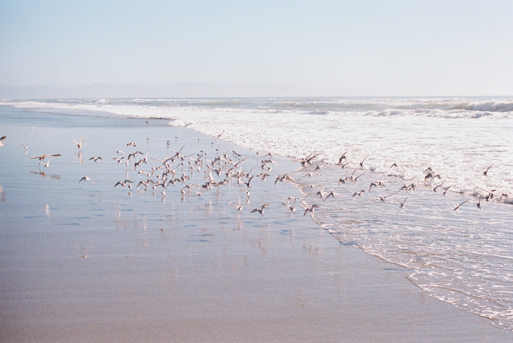 Tides