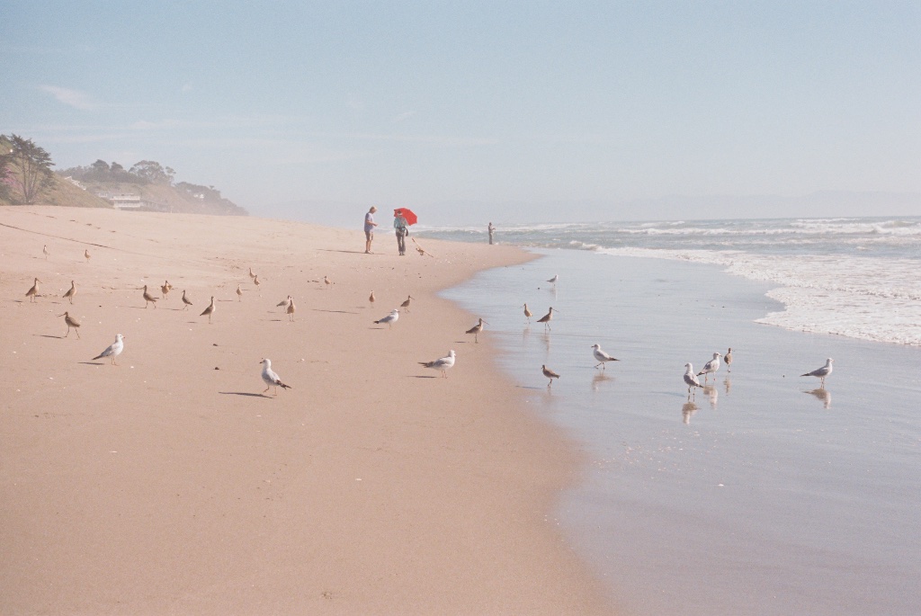 Tides – detail 2