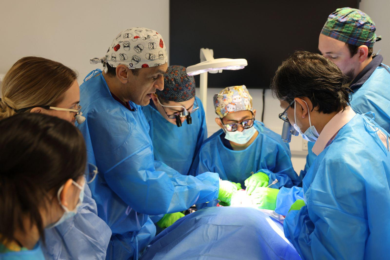 Hands-on cadaveric practice