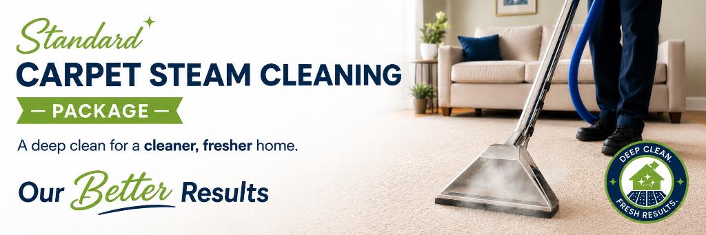 Standard Package Steam Clean