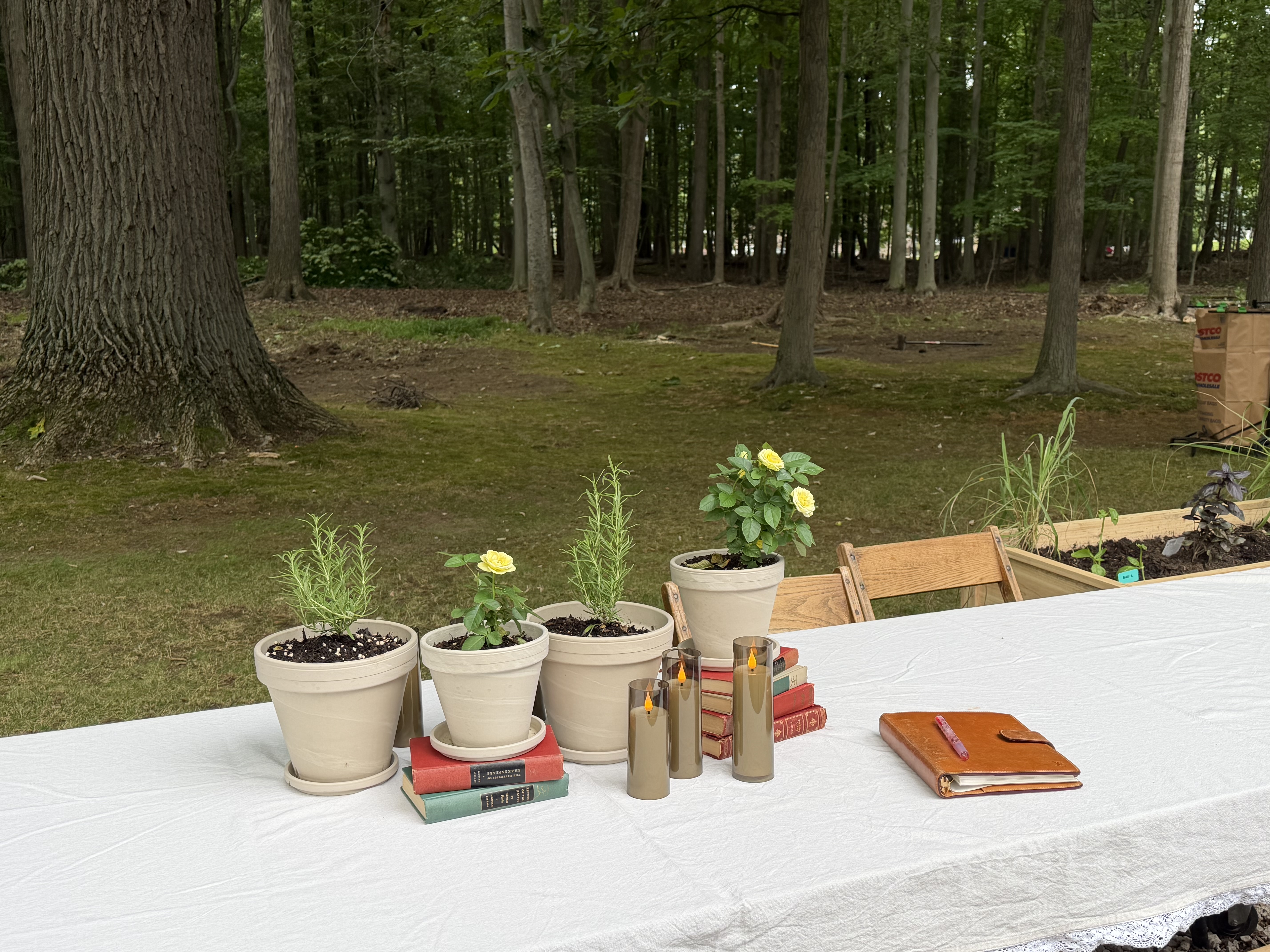 Lunch in a Forest