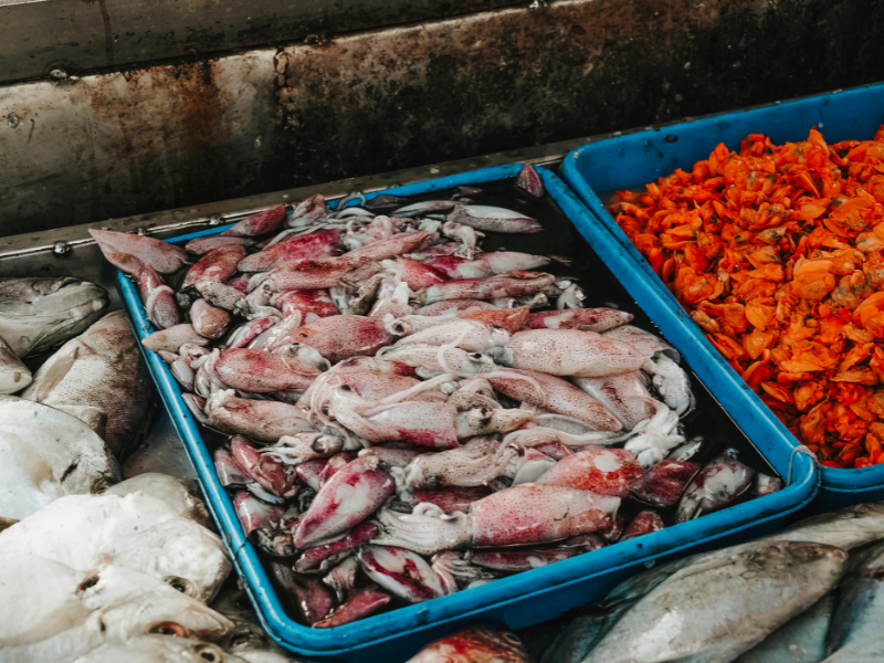 Ingredientes frescos de la paella valenciana