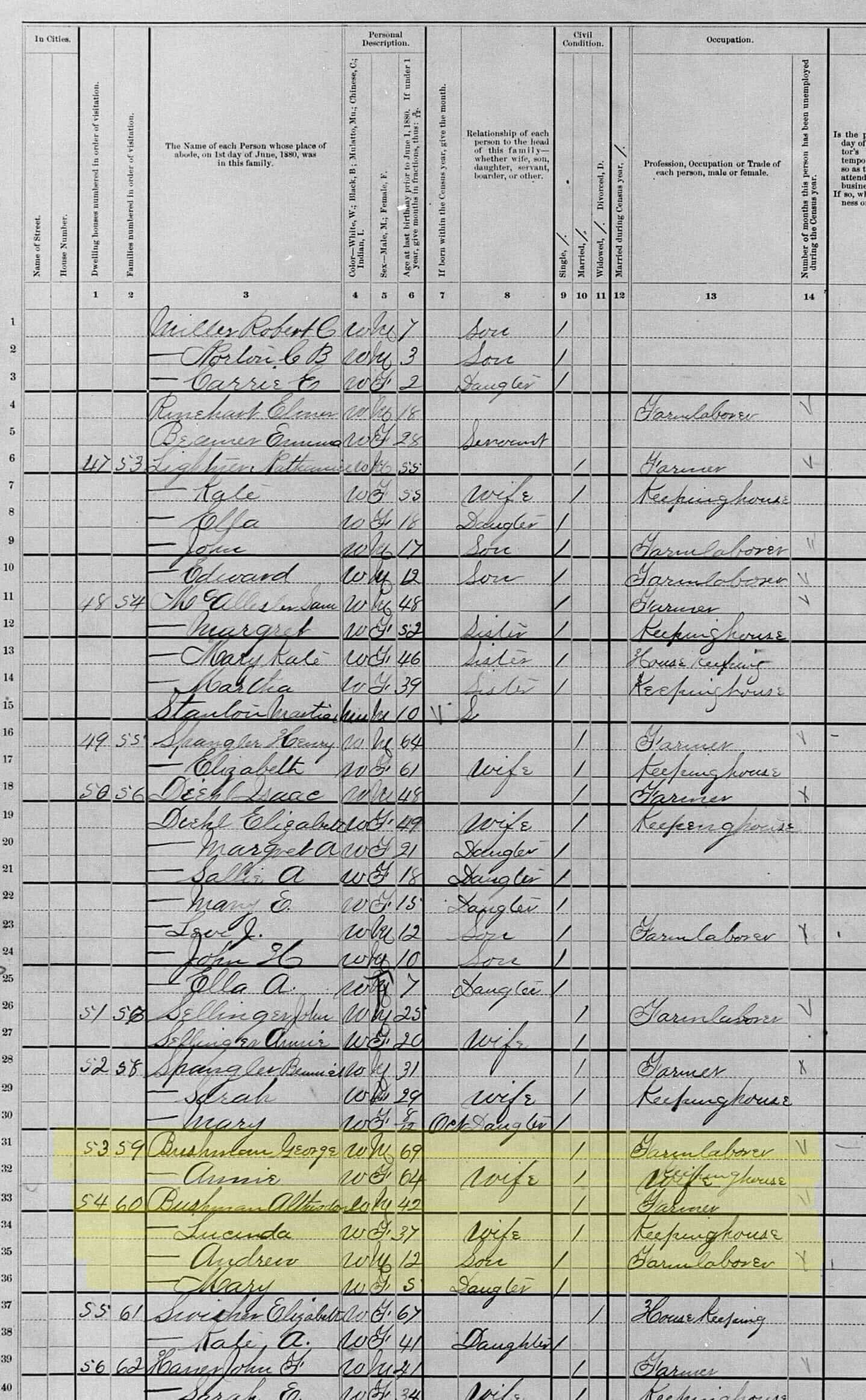 1880 U.S. Census record listing the Bushman household