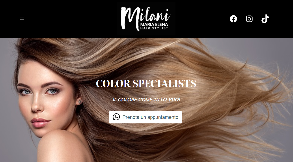 Milani Hair Stylist