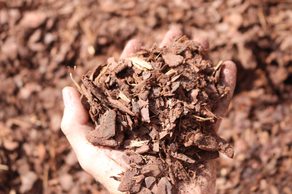 Pine Bark Mini Nuggets mulch variety