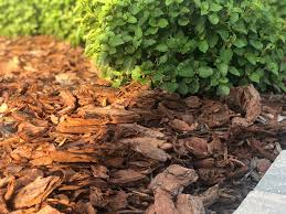Freshly mulched yard example