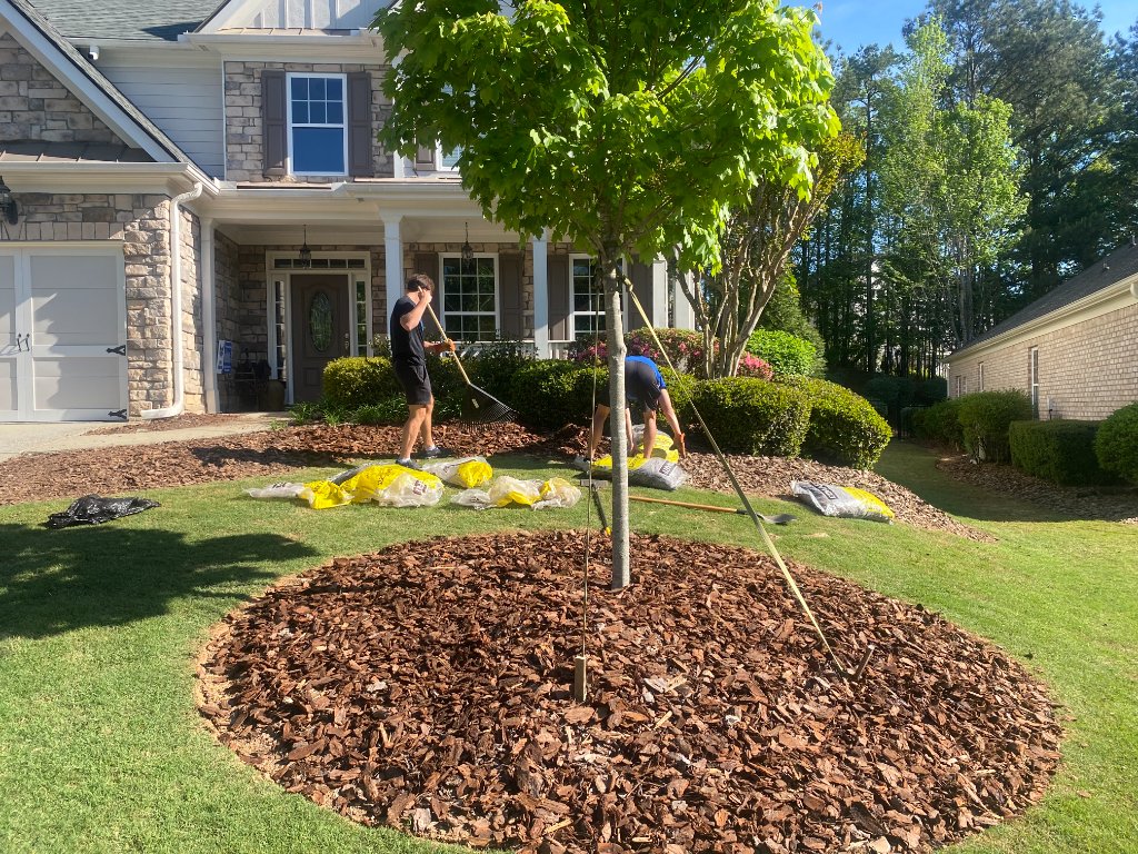 Team mulching a front yard
