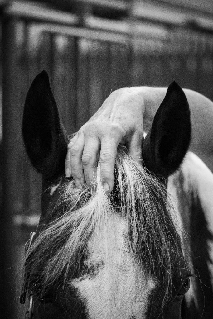 Craniosacral work between ears