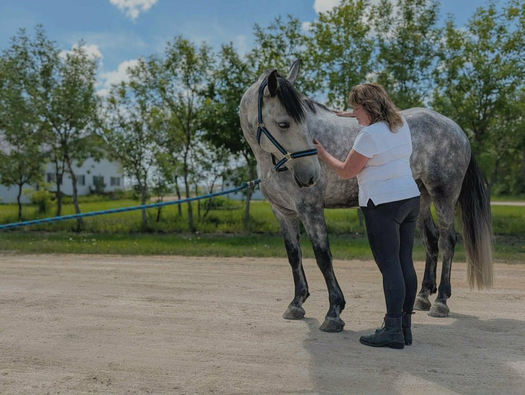 Equine bodywork session