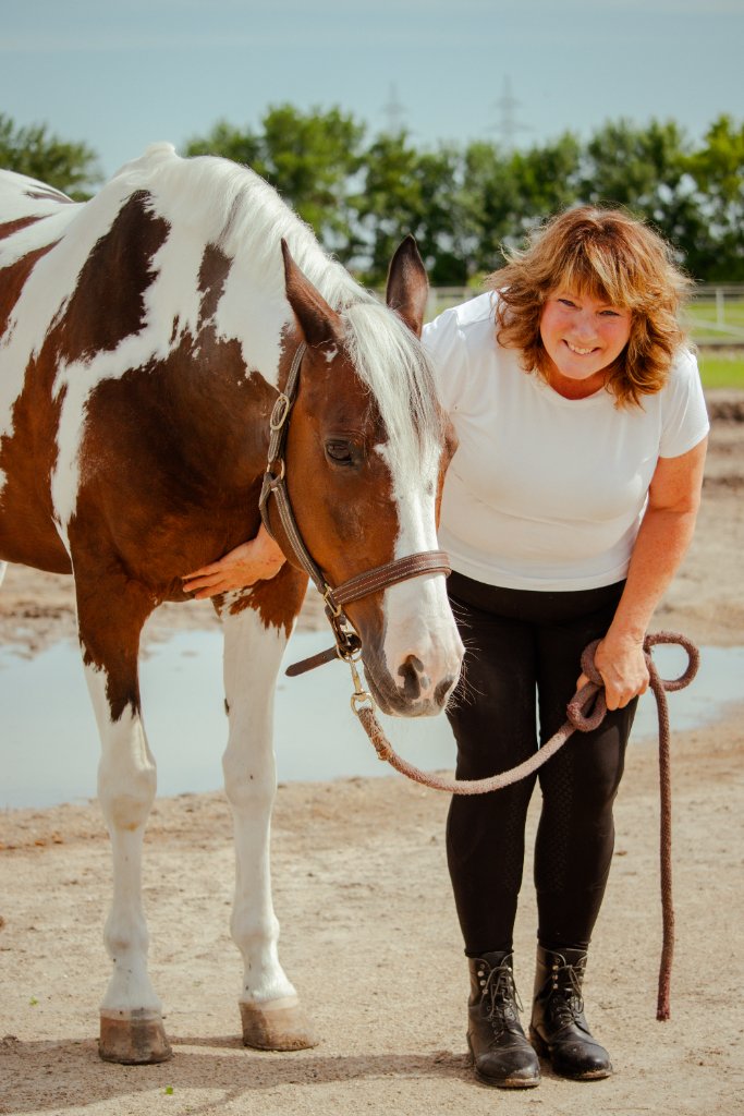 About ProEquestrian Bodyworks