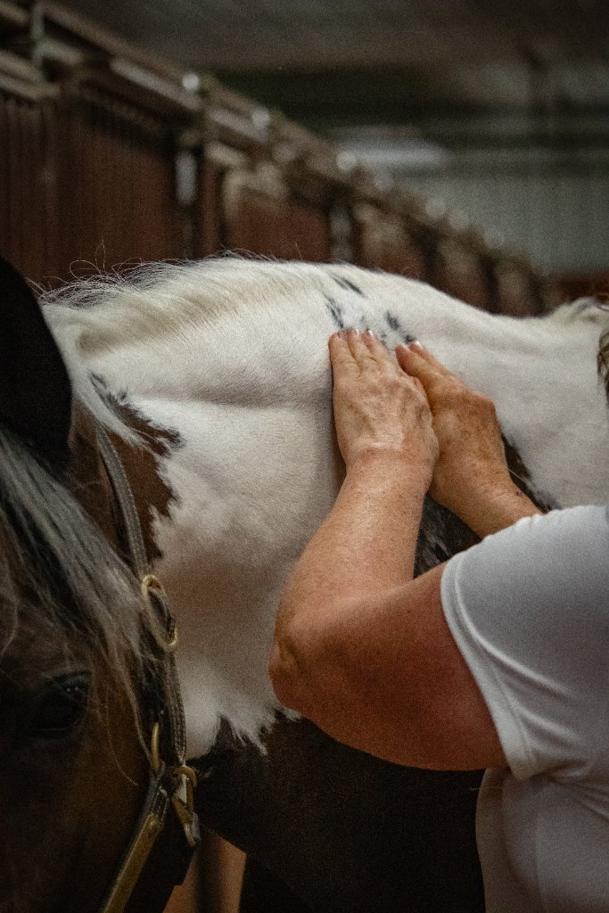Equine neck bodywork in barn