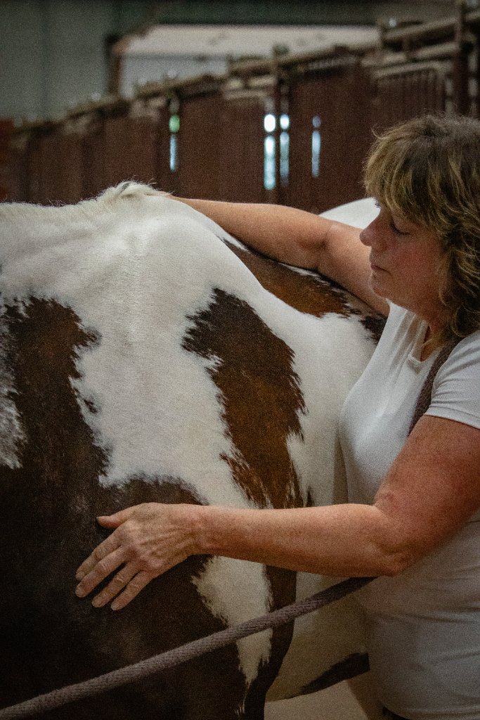 Back and wither assessment in barn