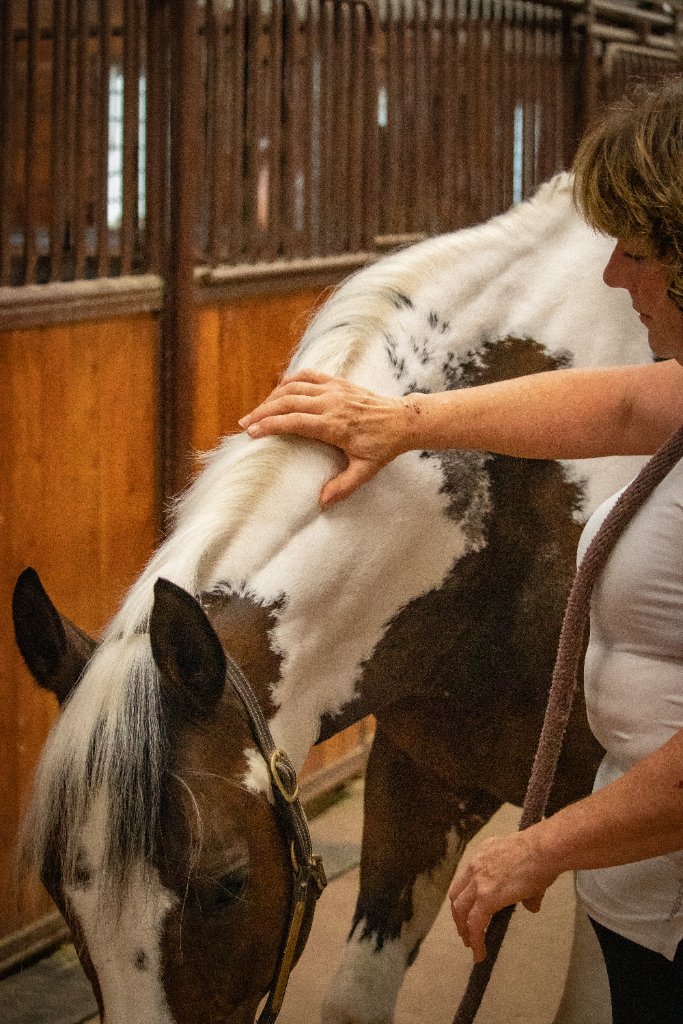 Neck and shoulder bodywork in stall