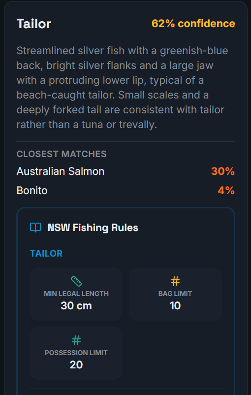 AI Fish ID result screen showing Tailor at 62% confidence, closest matches, and NSW fishing rules for minimum legal length, bag limit and possession limit.