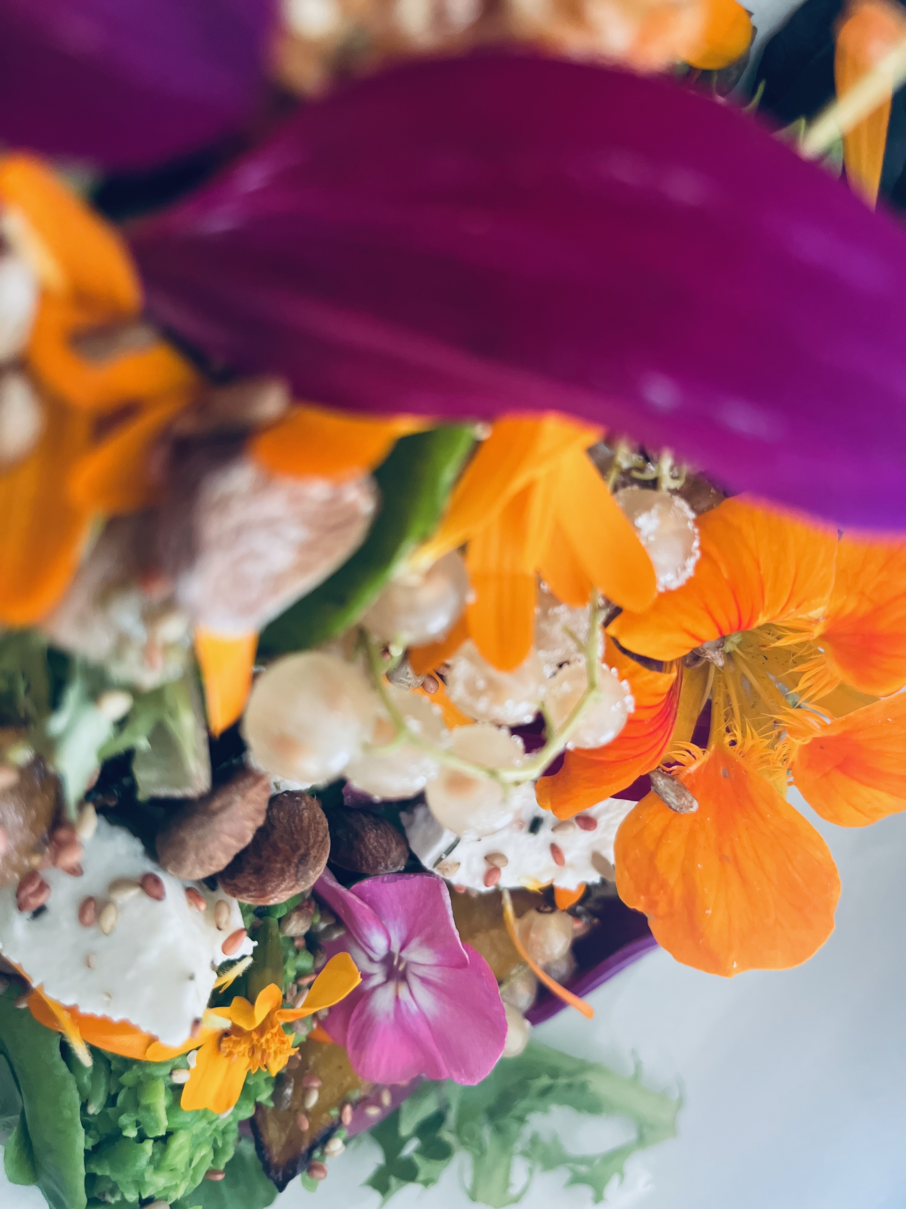 Sommersalat med spiselige blomster