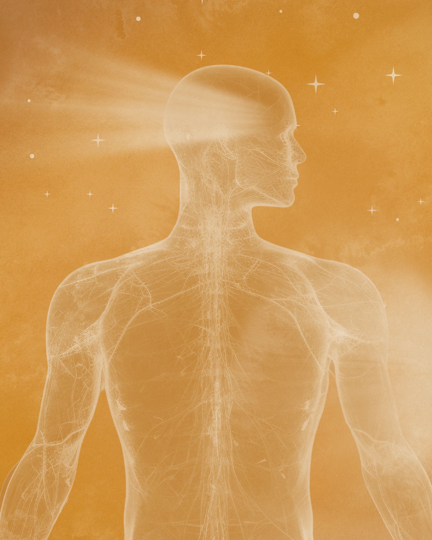 Focus: Caring for Your Inner Organs