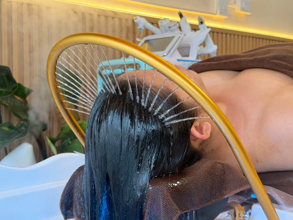Hair Spa (Hair Wash & Dry)