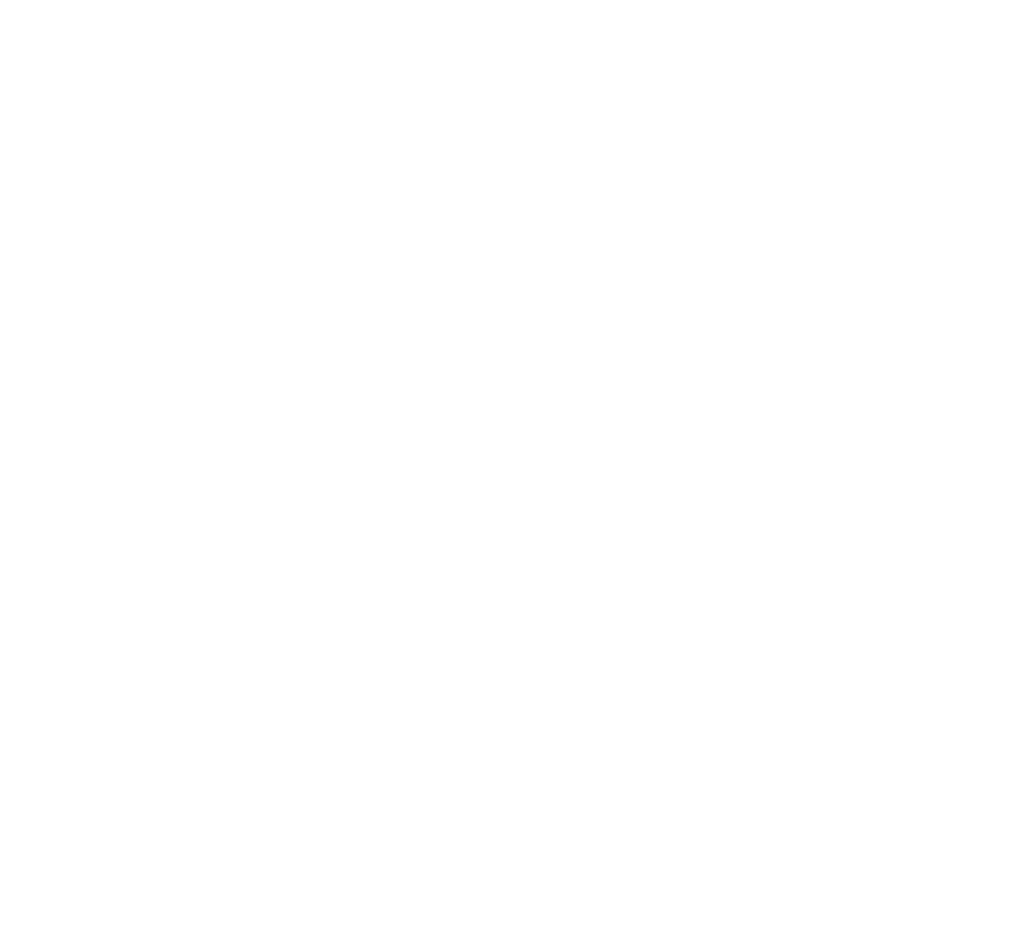 Bei 961