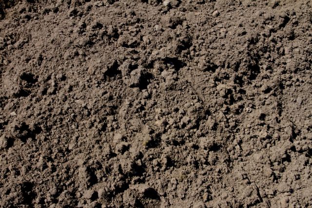 Topsoil Unscreened
