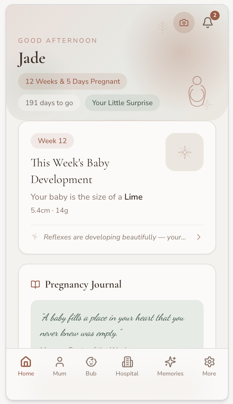 Before We Meet home screen showing pregnancy week, days remaining and baby's weekly development