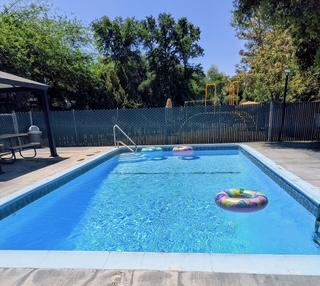 Outdoor swimming pool with floating rings on a sunny day