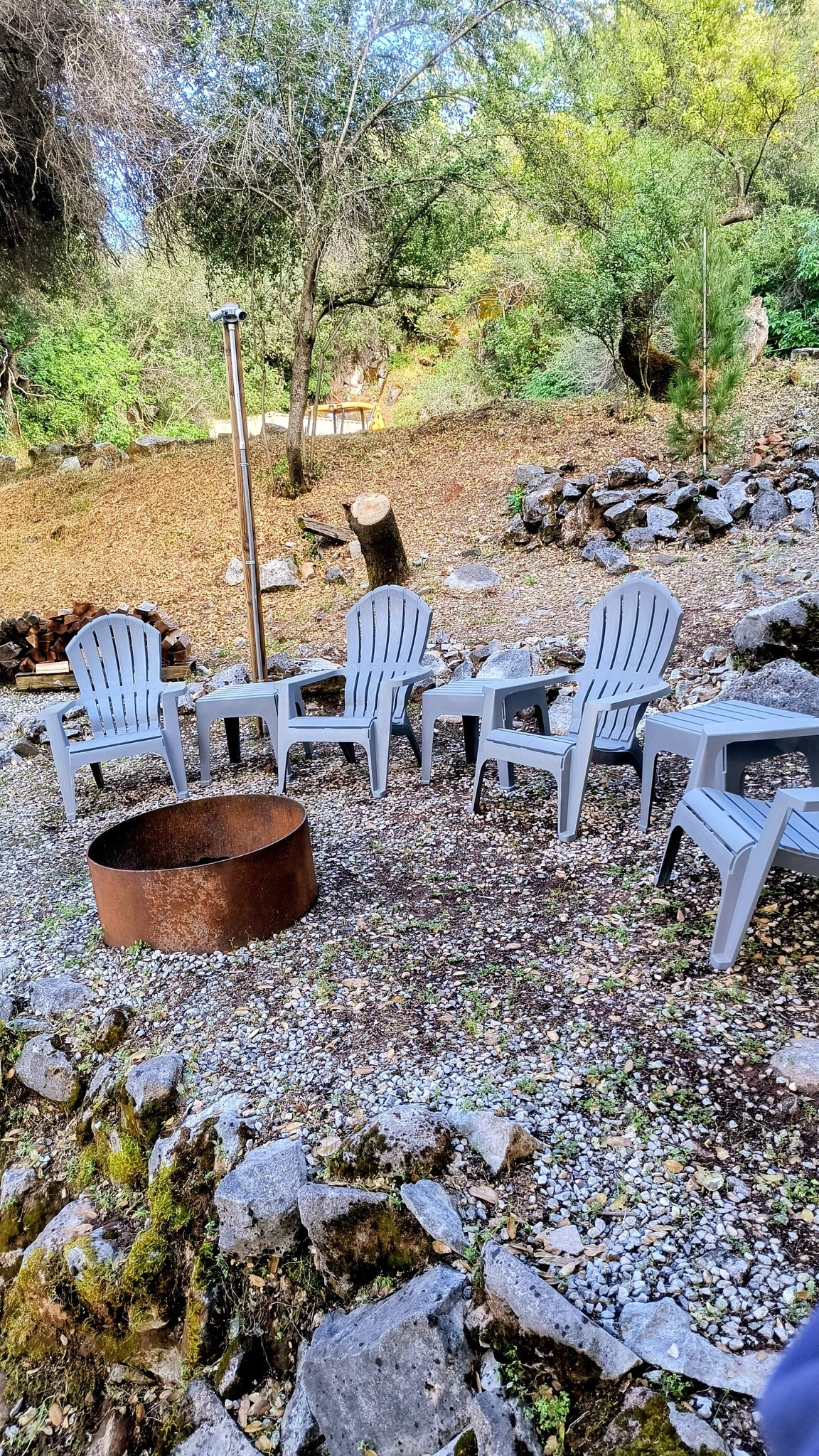 Fire pit ringed by Adirondack chairs in a wooded clearing