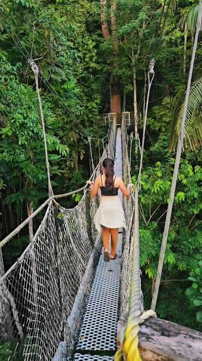 Canopy Walkways