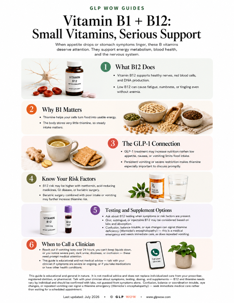 Vitamin B1 + B12 Guide cover