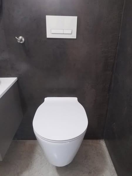 Wall-mounted toilet installation with dual-flush panel