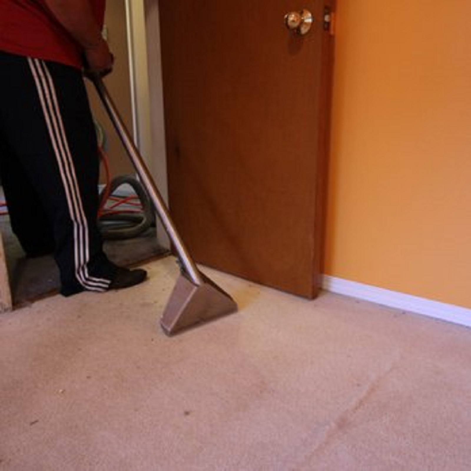 arpet cleaning