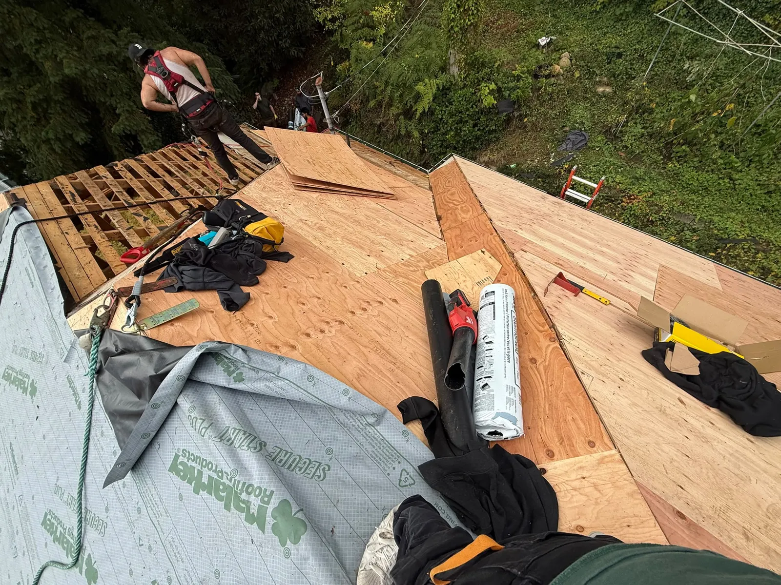 Red Maple Roofing crew laying new Malarkey underlayment over plywood sheathing on a Port Coquitlam roof