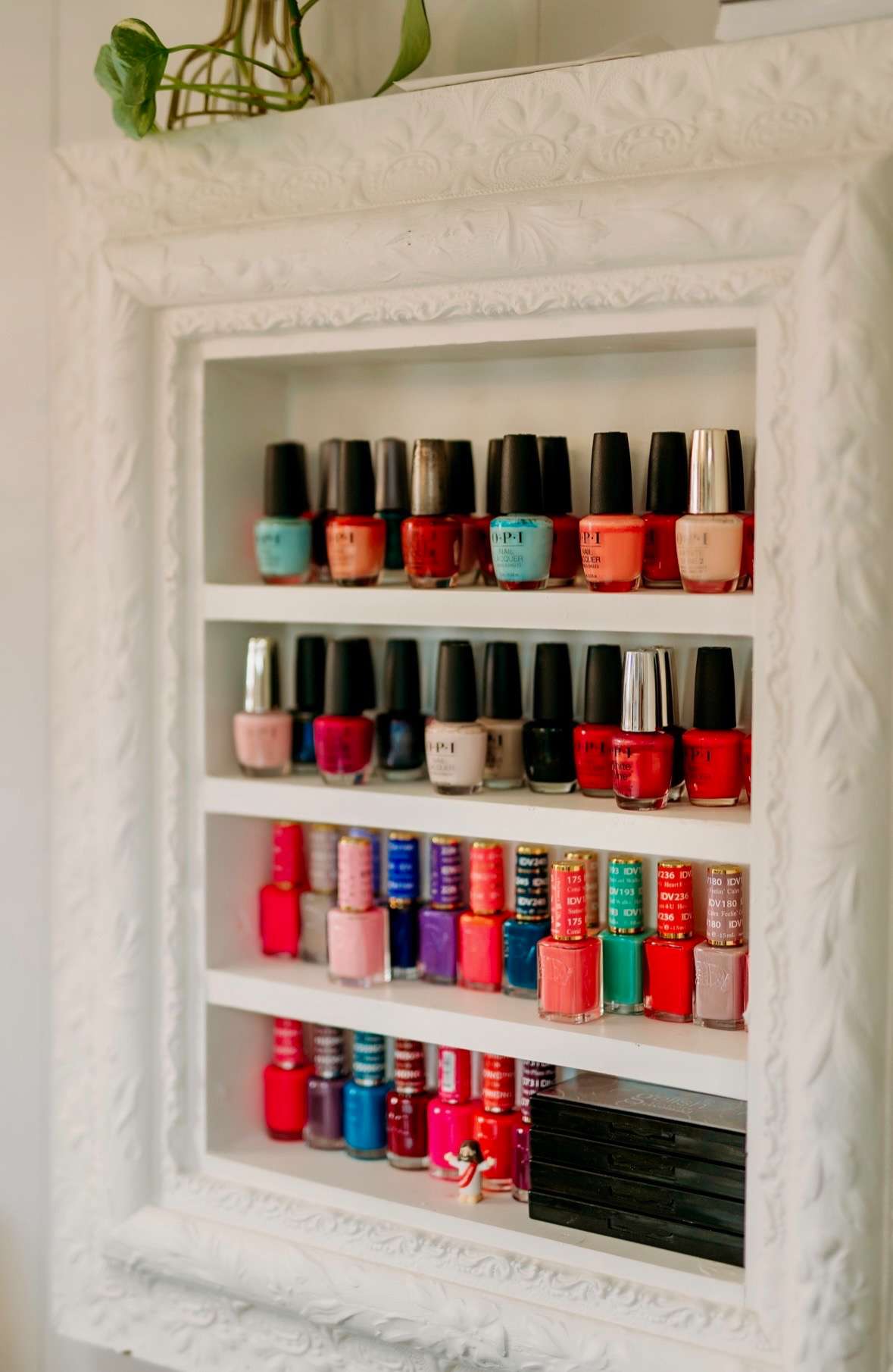 Polish Collection