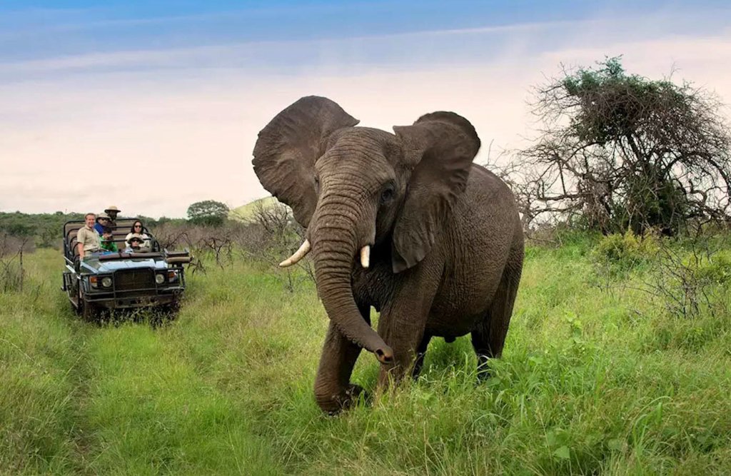 Mozambique 5