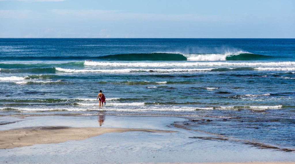 Tamarindo 8