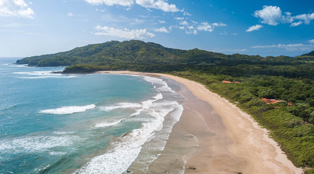 Tamarindo 6