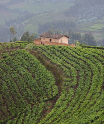 Day 1: Kigali