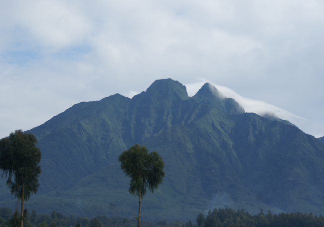 Day 4: Volcanoes National Park / Kigali