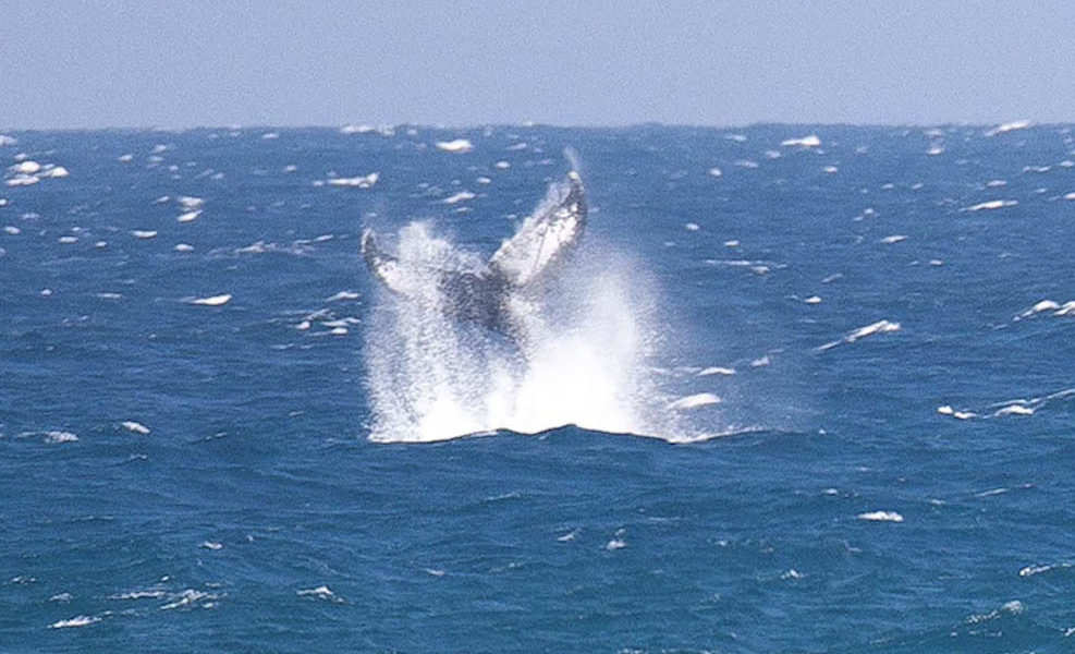 Mozambique 2
