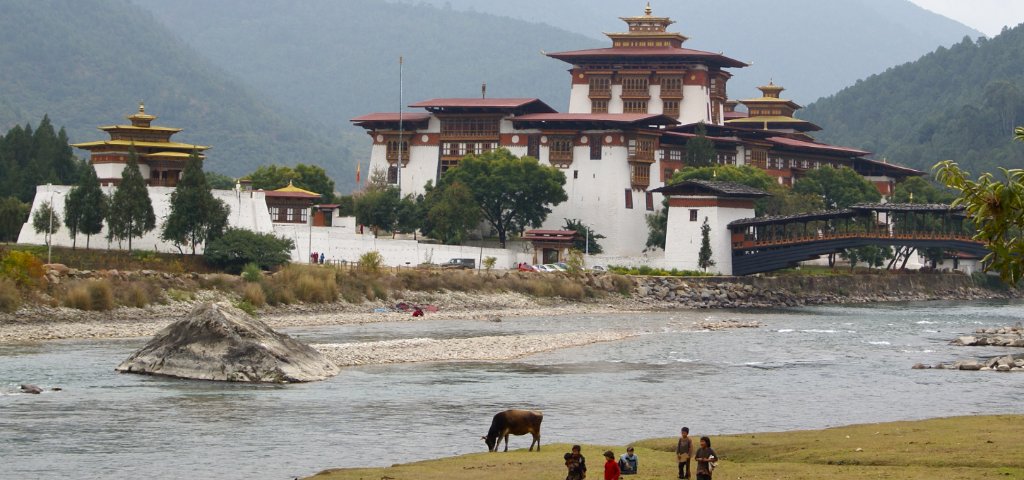 Chapter 4: Gangtey / Punakha