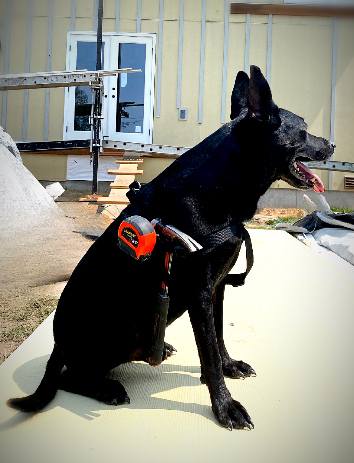 Kai — Site Foreman & Tool Handler