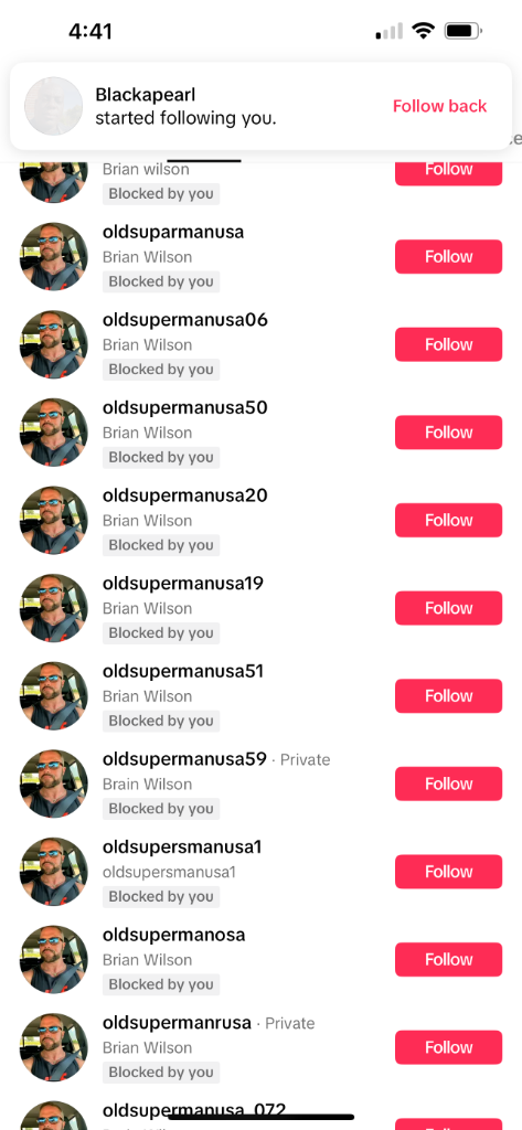 Fake TikTok accounts row 3