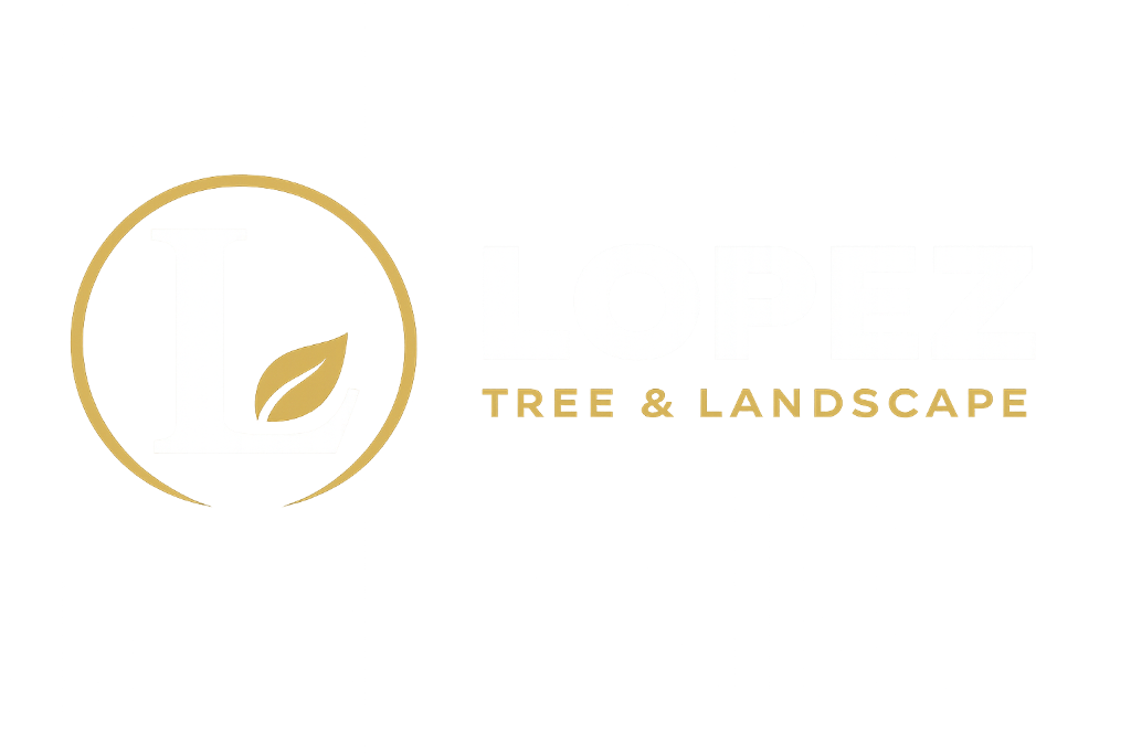 Lopez Tree & Landscape