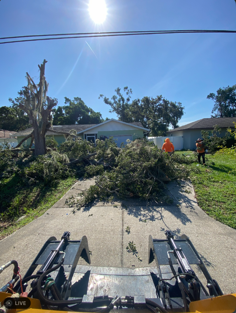 Grapple Debris Clearing — Venice, FL