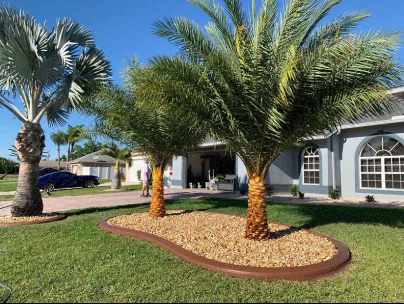 Palm Island Bed — Sarasota, FL