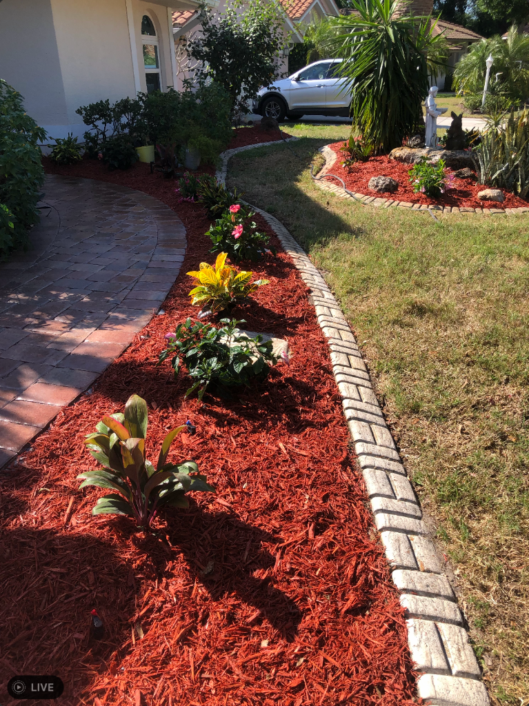 Curved Bed & Concrete Edging — Englewood, FL