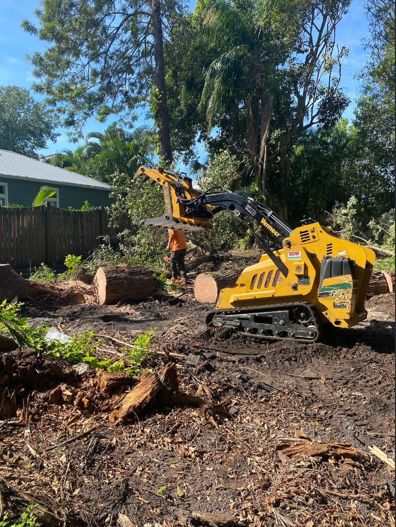 Skid-Steer Tree Removal — Sarasota, FL