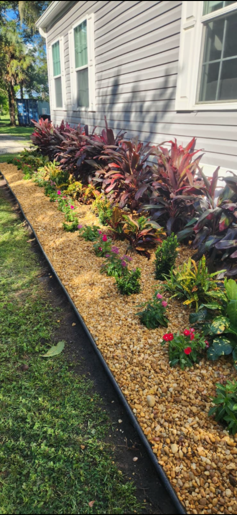 Tropical Foliage Bed — Bradenton, FL