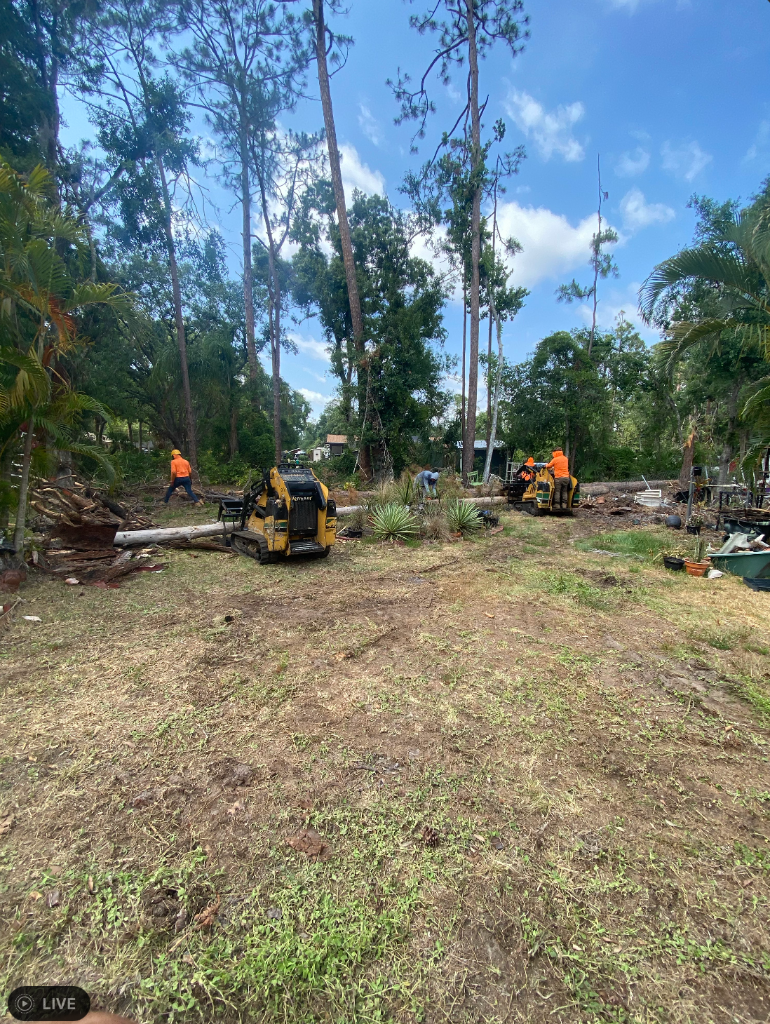 Lot Clearing & Cleanup — Bradenton, FL